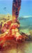 Click For Enlargement