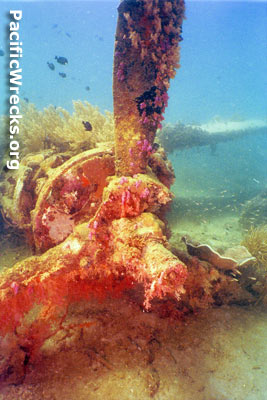 PacificWrecks.com