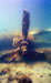 Click For Enlargement