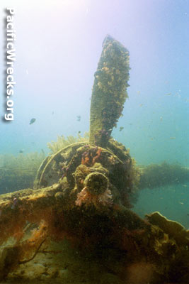 PacificWrecks.com