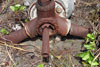 Click For Enlargement