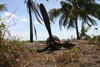Click For Enlargement