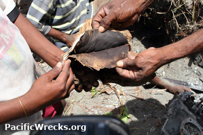 PacificWrecks.com