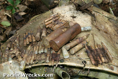 PacificWrecks.com