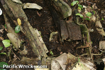 PacificWrecks.com