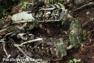 PacificWrecks.com
