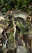 Click For Enlargement