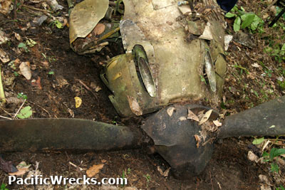 PacificWrecks.com
