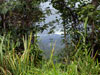 Click For Enlargement