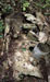 Click For Enlargement