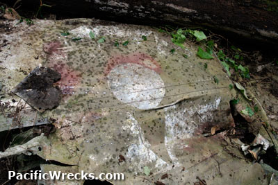 PacificWrecks.com