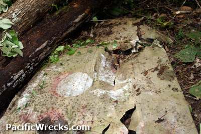 PacificWrecks.com