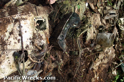 PacificWrecks.com