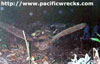 Click For Enlargement
