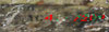 Click For Enlargement