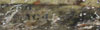 Click For Enlargement
