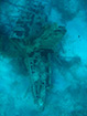 Click For Enlargement