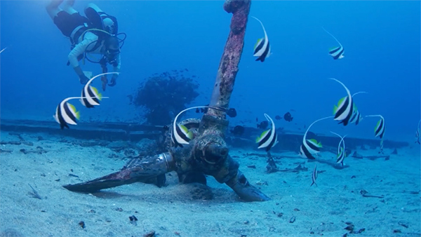 PacificWrecks.com