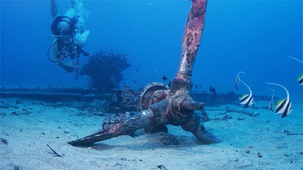 PacificWrecks.com