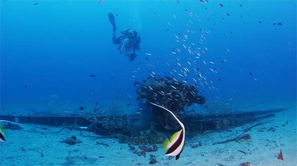 PacificWrecks.com