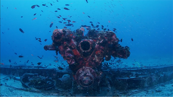 PacificWrecks.com