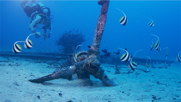 PacificWrecks.com