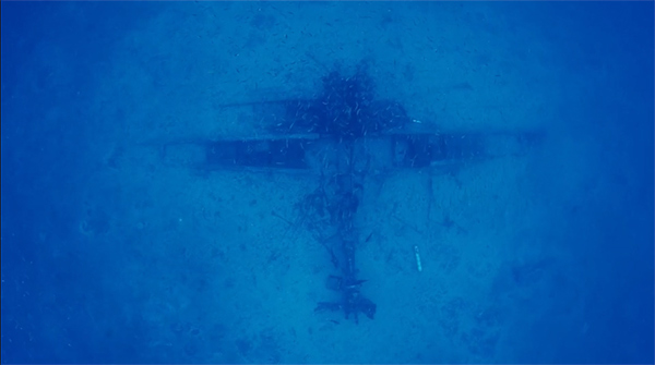 PacificWrecks.com