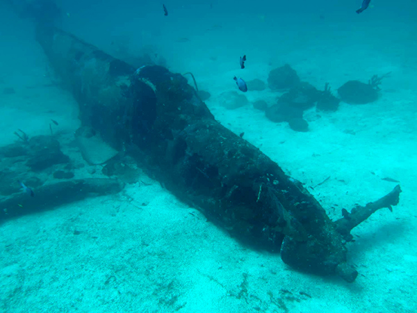 PacificWrecks.com