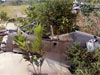 Click For Enlargement