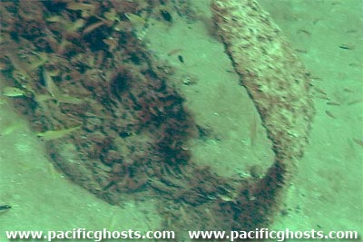 PacificWrecks.com