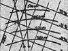 Click For Enlargement