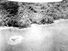 Click For Enlargement