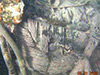Click For Enlargement