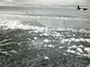 Click For Enlargement