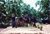 Click For Enlargement