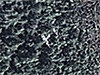 Click For Enlargement