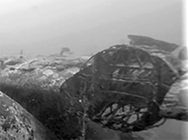 PacificWrecks.com