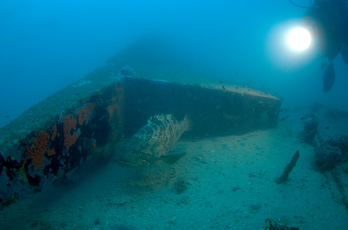 PacificWrecks.com