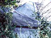 Click For Enlargement