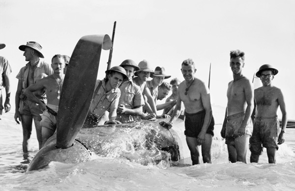 PacificWrecks.com