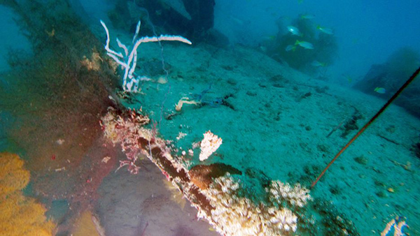 PacificWrecks.com