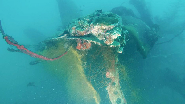 PacificWrecks.com