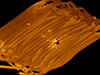 Click For Enlargement