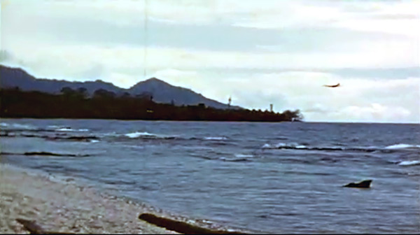 PacificWrecks.com