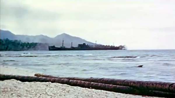 PacificWrecks.com