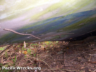 PacificWrecks.com