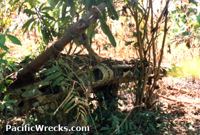 PacificWrecks.com