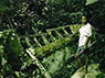 Click For Enlargement