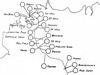 Click For Enlargement