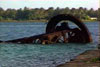Click For Enlargement